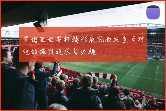 罗德里世界杯精彩表现激发皇马对他的强烈追求与兴趣